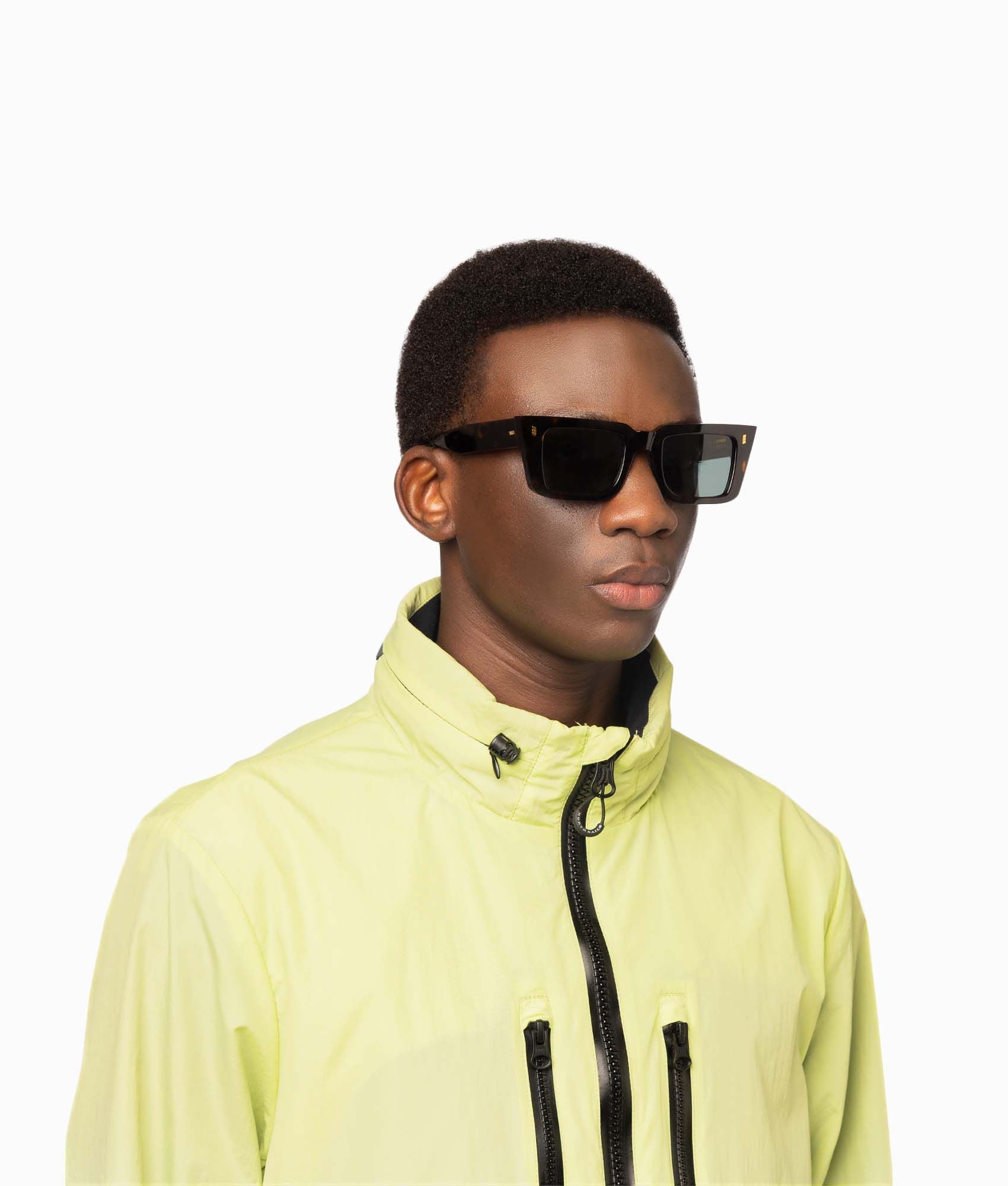 Gast | Fable / Classic Havana