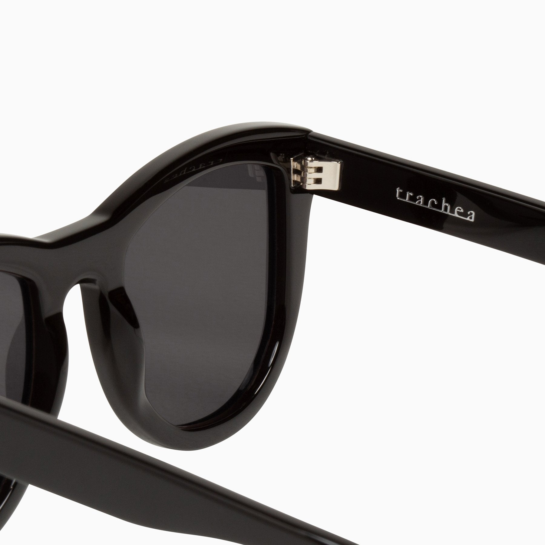 Valley | Trachea / Gloss Black - Black Gradient Lens