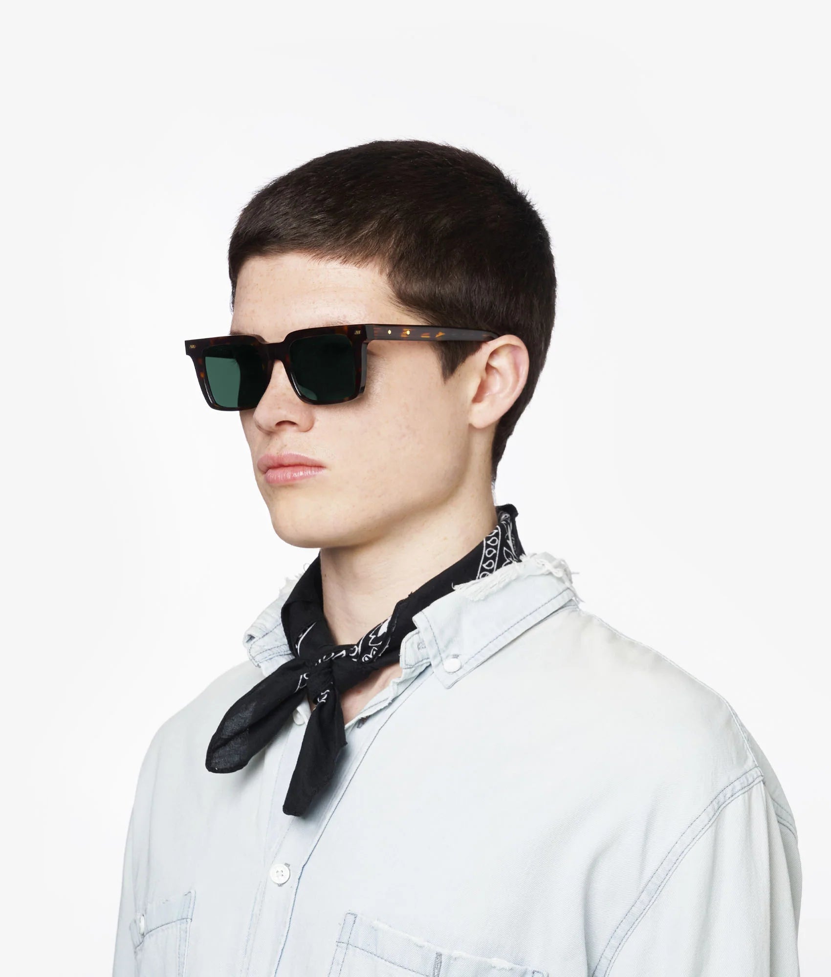 Gast | Drava / Classic Havana