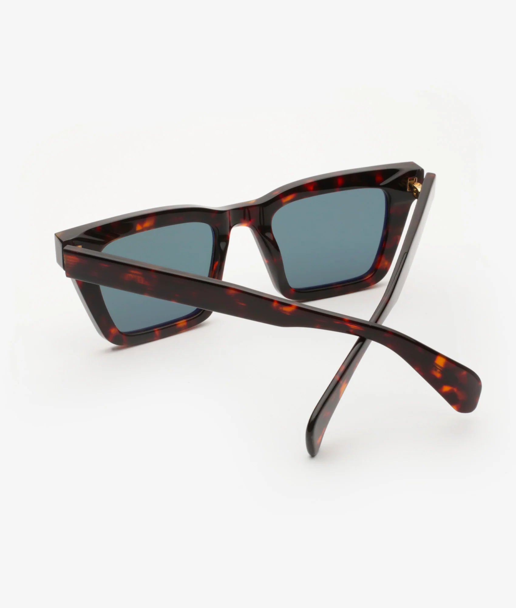 Gast | Zyron / Classic Havana