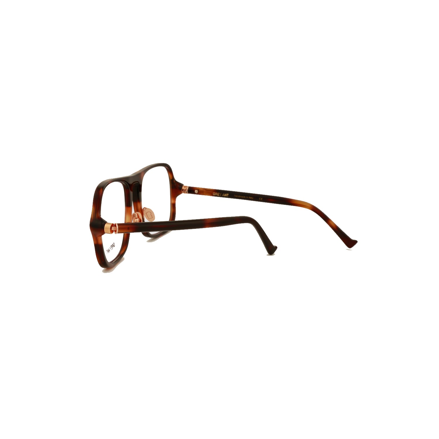 Coum | Tortoise